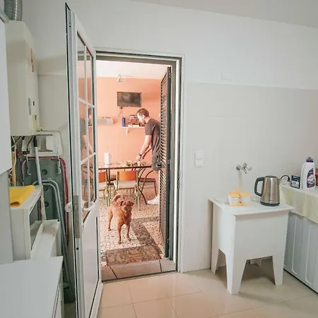 Pura Madeira Boutique Ocean Dbl Funchal (Madeira)